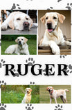 Pet Photo Sherpa Blanket/Throw