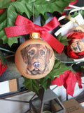 Christmas Tree Ornament Pet Portrait