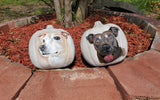 9" Rustic White Pumpkin Pet Portrait